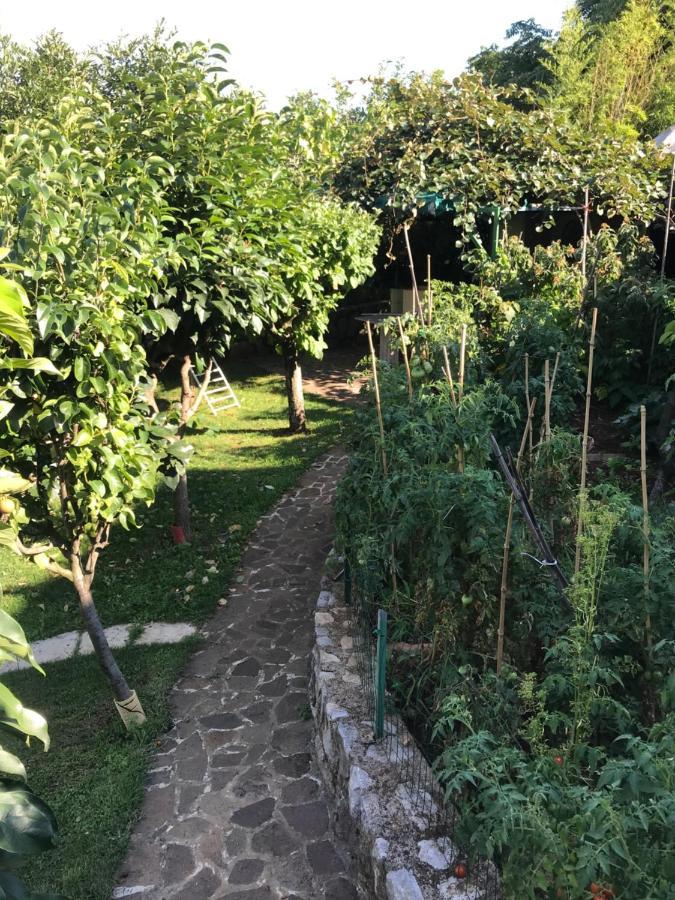 Studio Apartman Lavanda Matulji Bagian luar foto